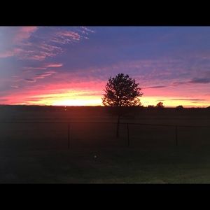 Meet your Posher, loves2shop